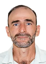 ANDRE LUIZ BEE