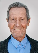 DOMINGOS PEREIRA DE CASTRO