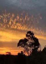 ROSEMEIRE APARECIDA PADOAN CUNHA