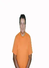 LUIS FERNANDES TAVARES BRASILINO