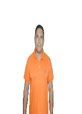 JOSE DE RIBAMAR LOPES DA SILVA