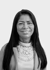 NEIVA GONÇALVES MEILERES