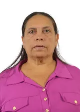 CLEUZA BORDIN QUEIROZ DA SILVA