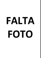 JOSE FIRMINO ALVES