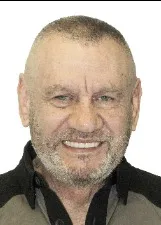 INGRAM DE SOUZA MENEZES